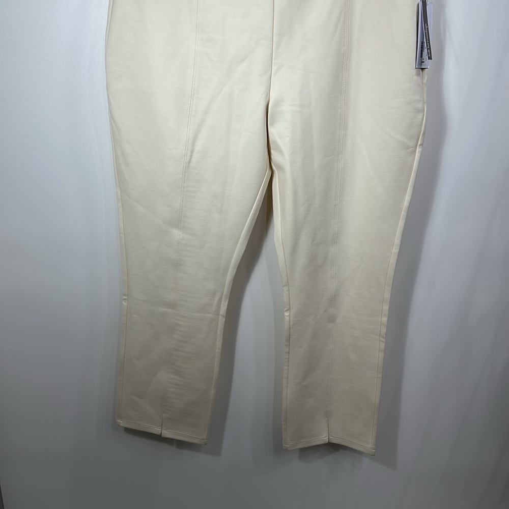 Soft Surrounding soft essential pointe ankle pull… - image 3